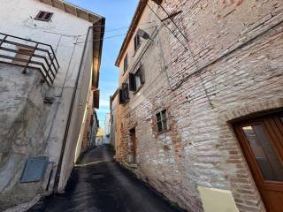 Zona