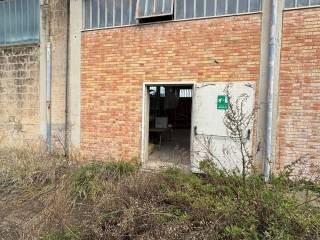 Ingresso
