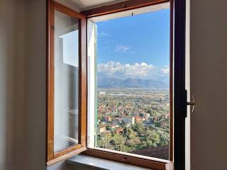 Vista