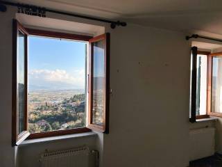 Vista