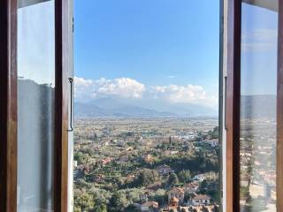 Vista
