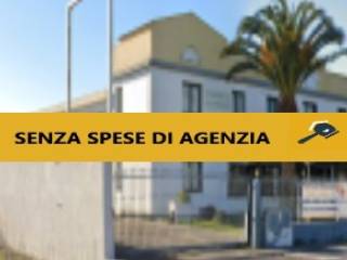 Zona
