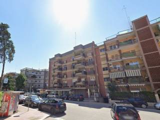 Zona