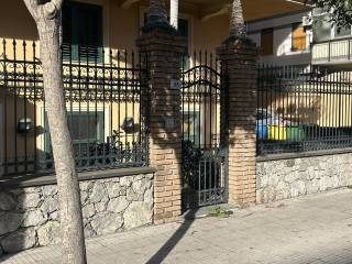 Zona