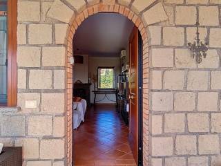 Ingresso