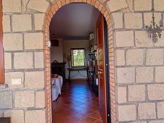 Ingresso