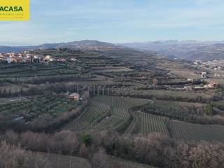 Vista