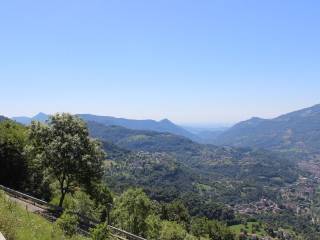 Vista