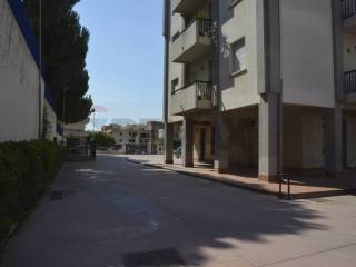 Zona