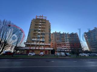 Zona
