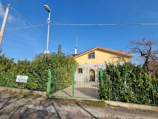 Zona