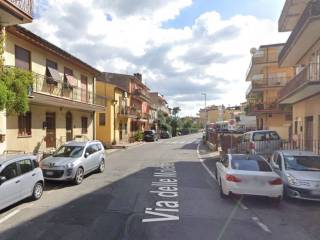 Zona