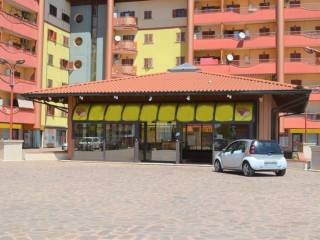 Zona
