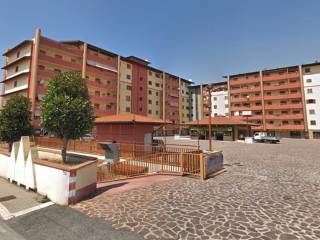 Zona
