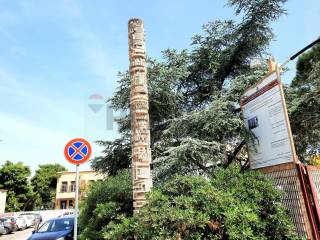Zona