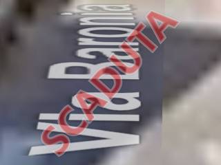 Zona