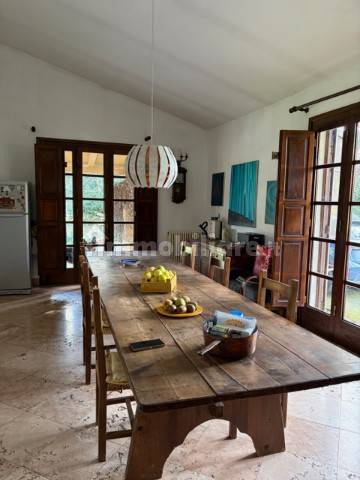 Salone