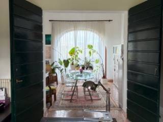 Salone