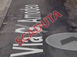 Zona