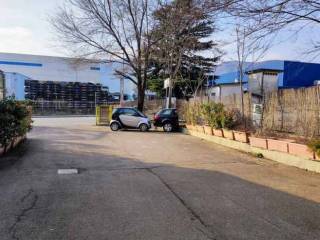 Zona