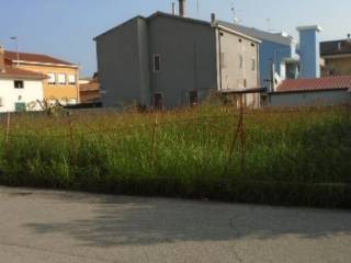 Zona