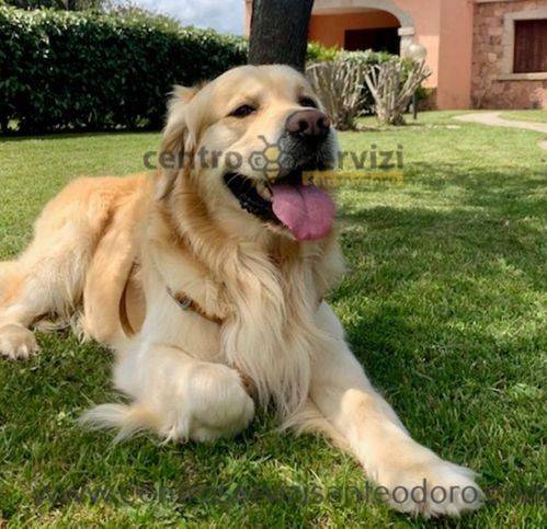 Casa indipendente in affitto a San Teodoro