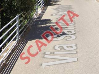 Zona