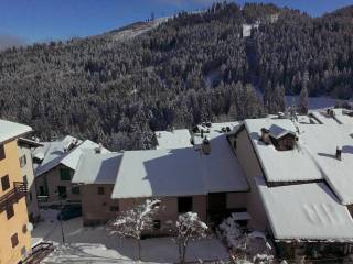 Vista
