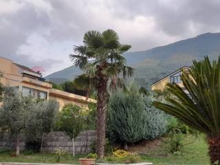 Vista