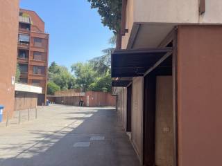 Zona