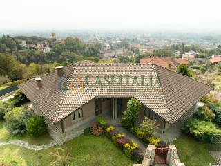 Vista