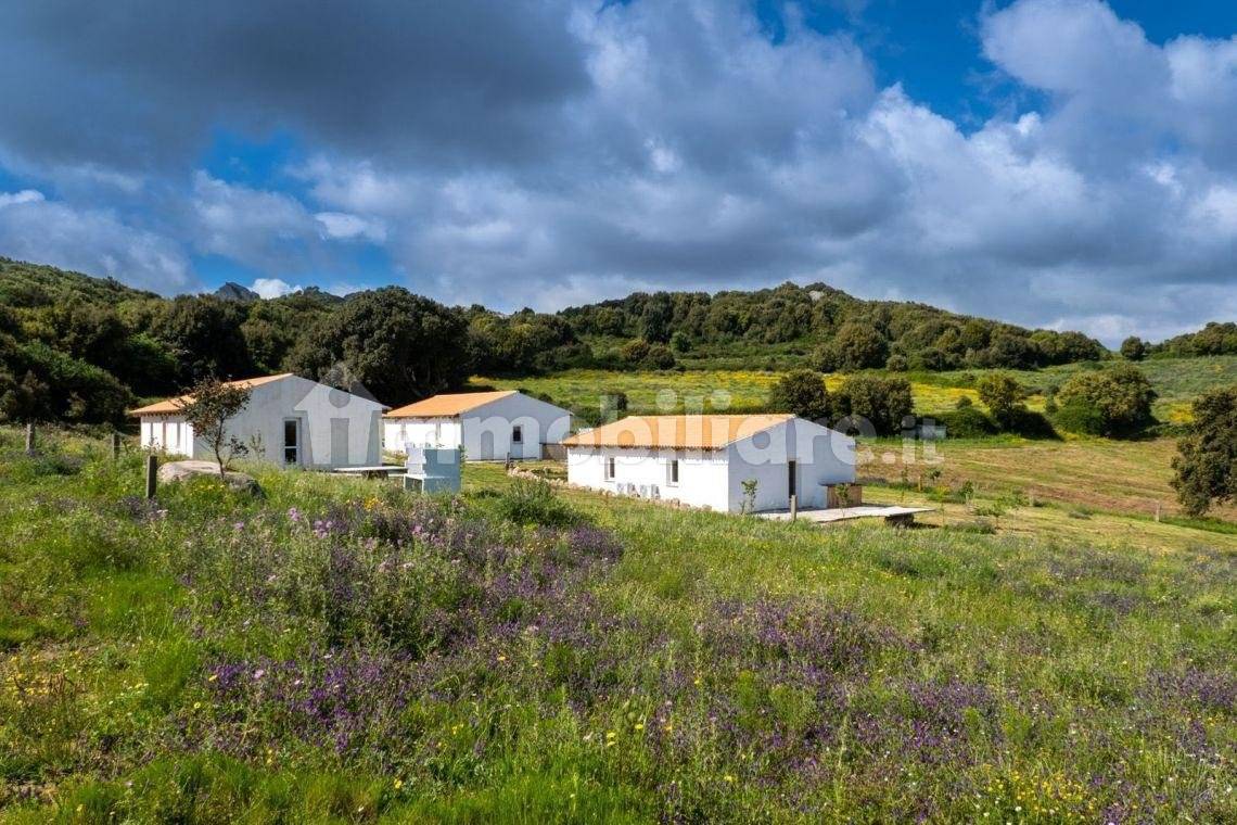 Rustico - Casale in vendita a Luogosanto