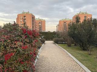 Zona