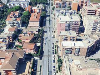 Zona