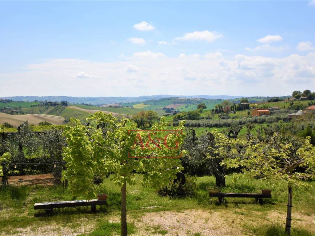 Vista