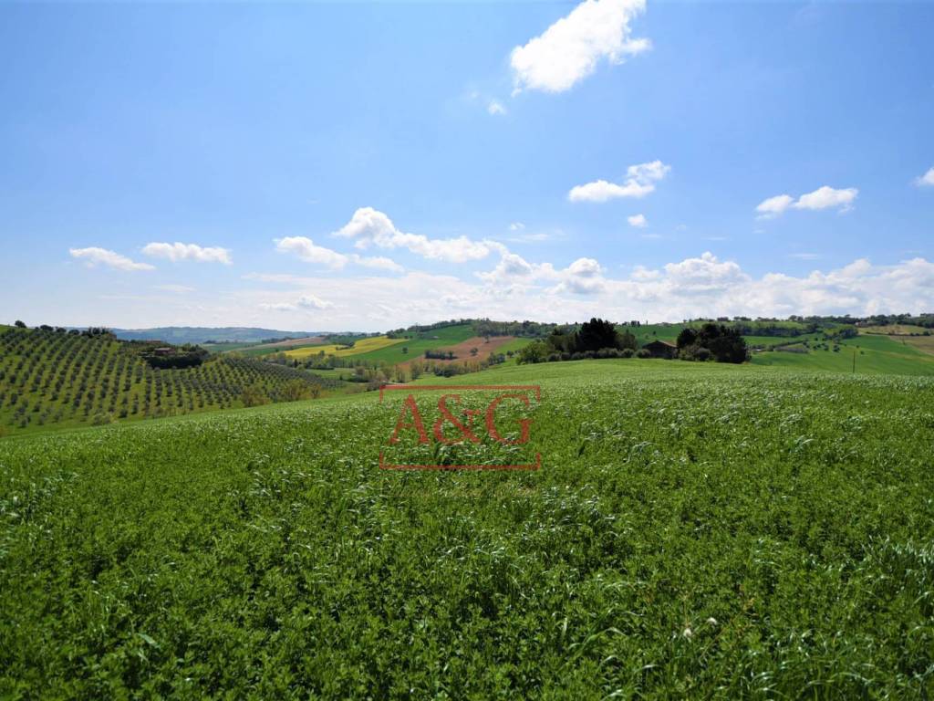 Terreno