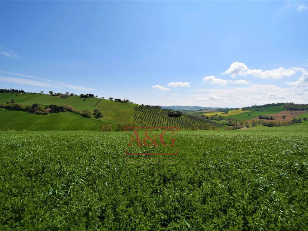 Terreno