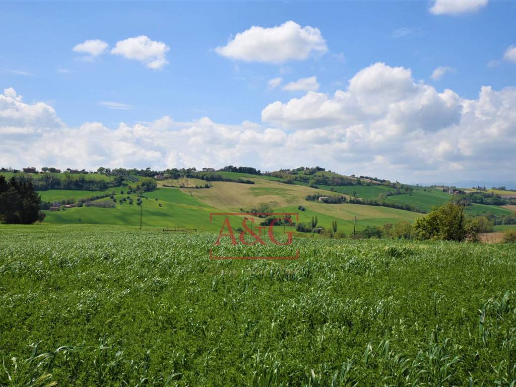 Terreno