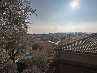 Vista