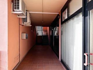 Ingresso