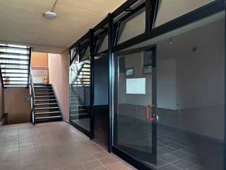 Ingresso