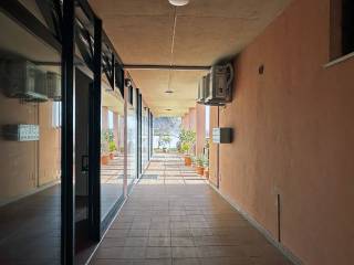 Ingresso