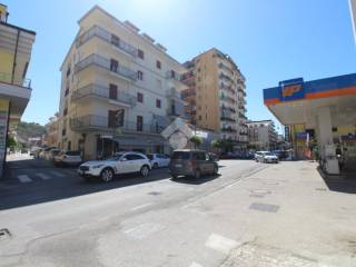Zona
