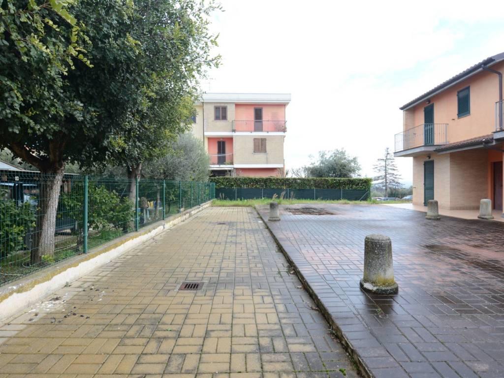 Zona