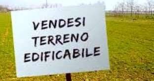 Zona