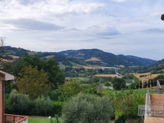 Vista
