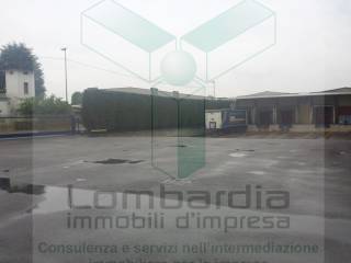 Zona
