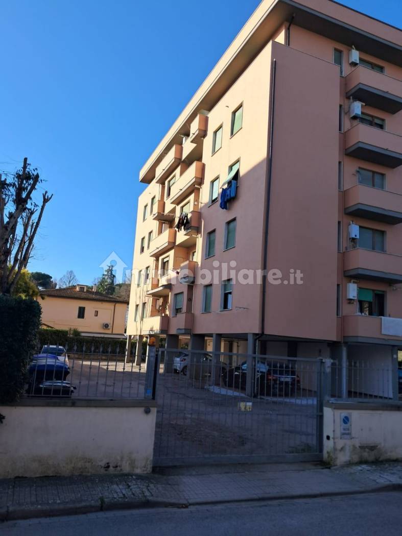 Appartamento in affitto a Pisa
