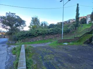 Zona