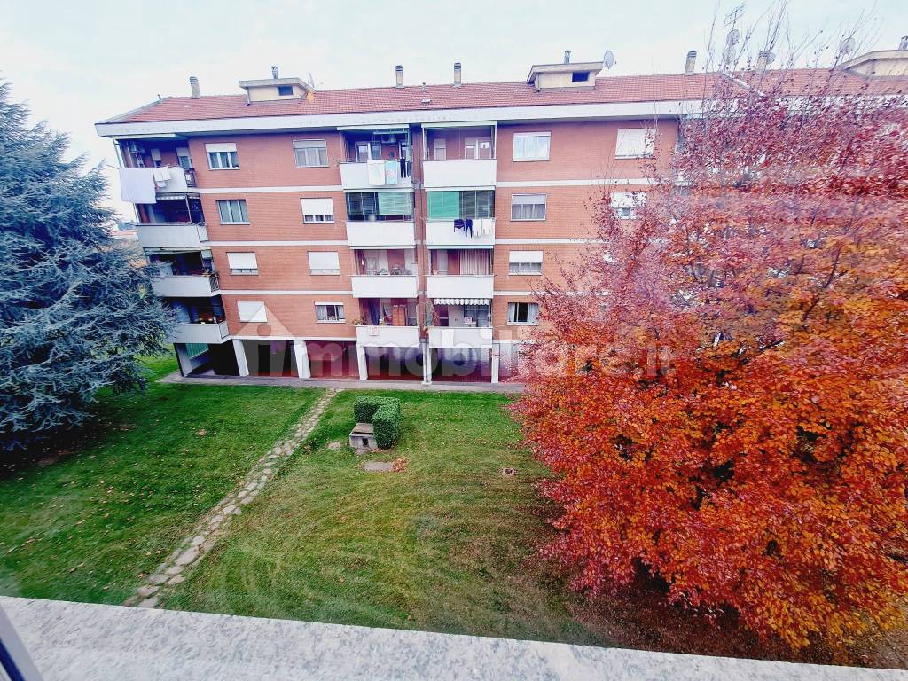 Vista